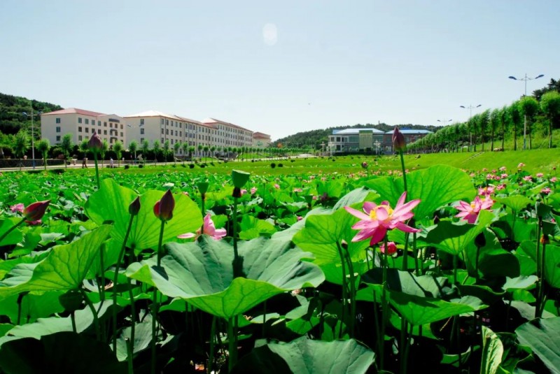辽宁职业学院2022年单独招生简章